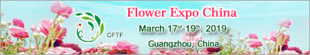 Flower Expo China